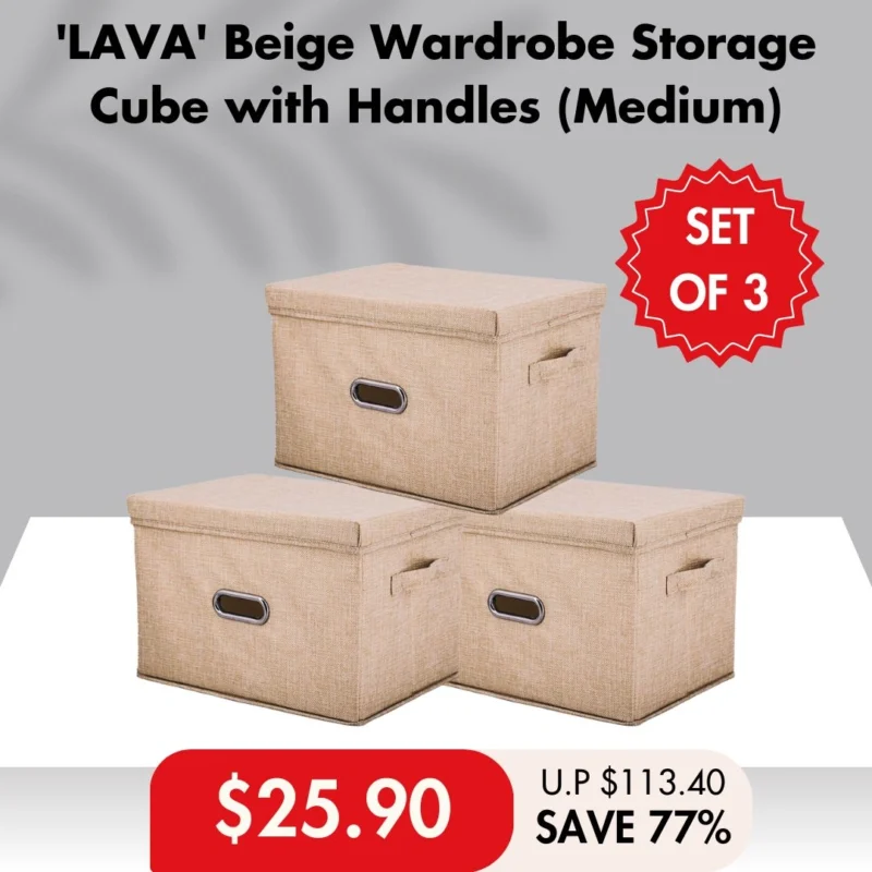 [4 For 30% OFF] HOUZE - 'LAVA' Wardrobe Storage Cube with Handles Collection