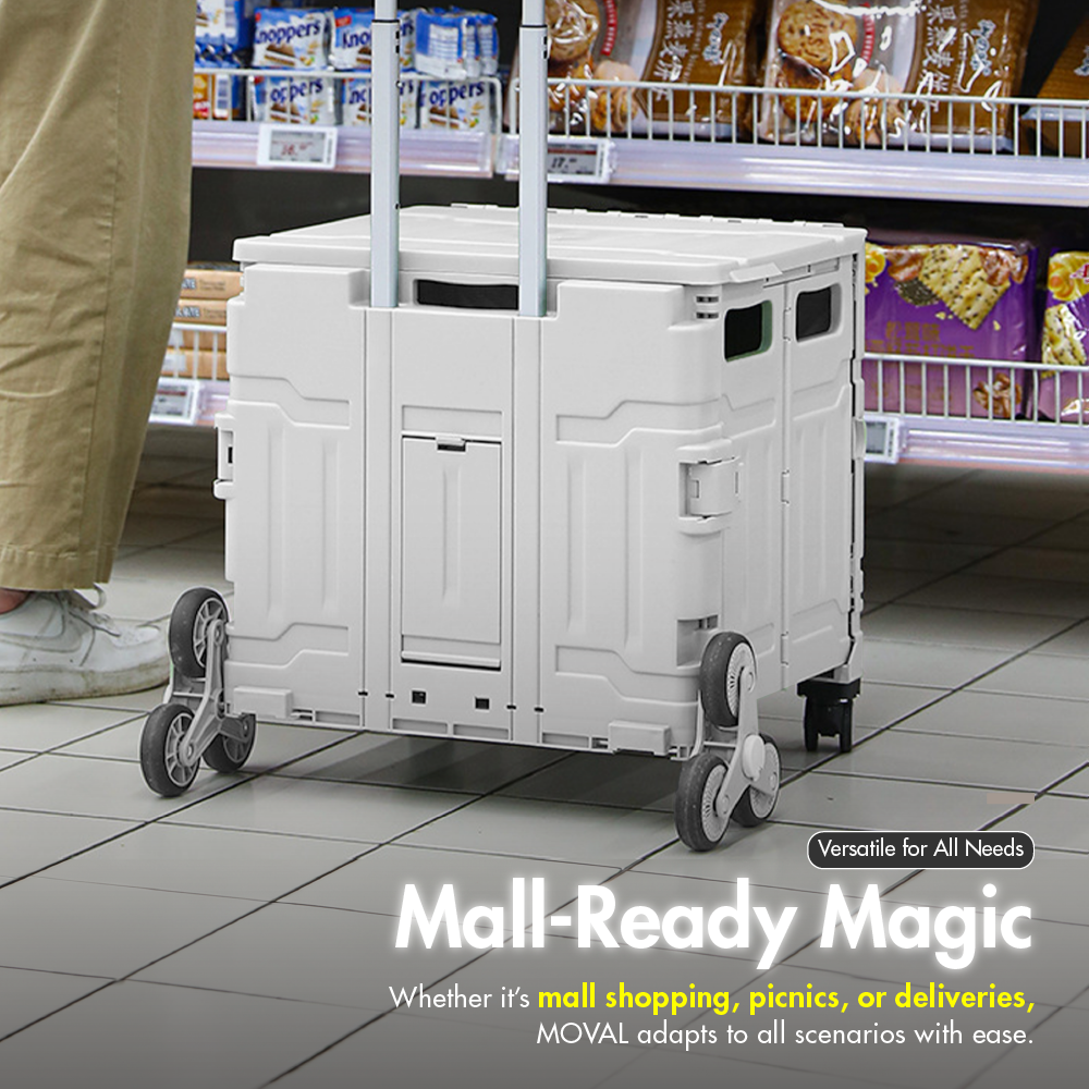 LS-9208-WHITE-LS-9209-WHITE-MOVAL-06