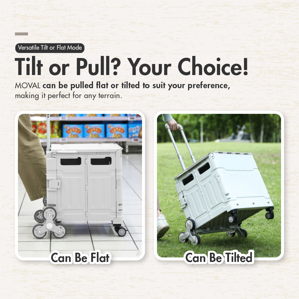 LS-9208-WHITE-LS-9209-WHITE-MOVAL-08